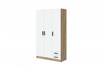 Шкаф 1200 мм Эконом без зеркала (Зарон) в Югорске - yugorsk.mebel-e96.ru