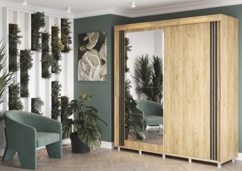 Шкаф-купе 2000 мм Форест крафт золотой(Стиль) в Югорске - yugorsk.mebel-e96.ru