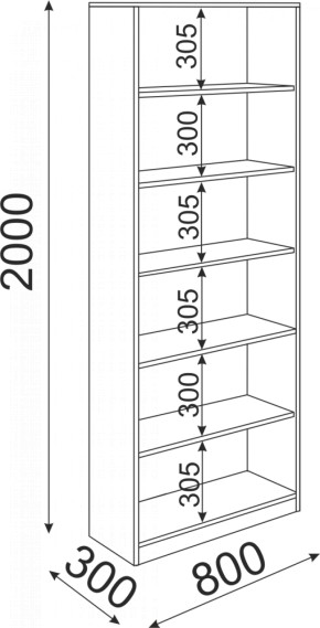 Стеллаж 800 Остин Модуль 08 (Риннер) в Югорске - yugorsk.mebel-e96.ru