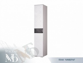 Пенал ПН-16 Кимберли 400 мм (БТС) в Югорске - yugorsk.mebel-e96.ru | фото