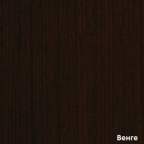 Шкаф-купе Рио 1-600 Амели (полки справа) в Югорске - yugorsk.mebel-e96.ru