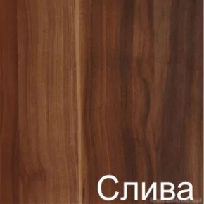 Стол-книжка (1-65) (ГК) в Югорске - yugorsk.mebel-e96.ru